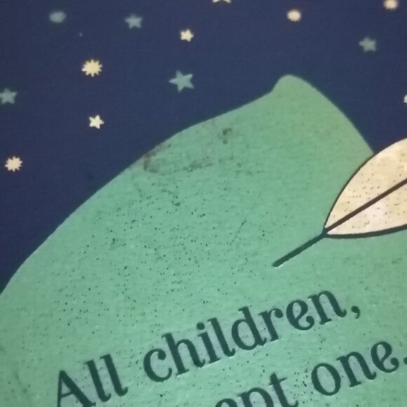 Peter Pan, by J.M. Barrie-- Gorgeous Keepsake Collector's Edition! - Picture 10 of 11